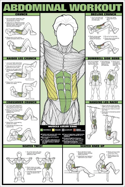 Abdominal Core Workout Professional Fitness Instructional Wall Chart Poster - Fitnus Corp.