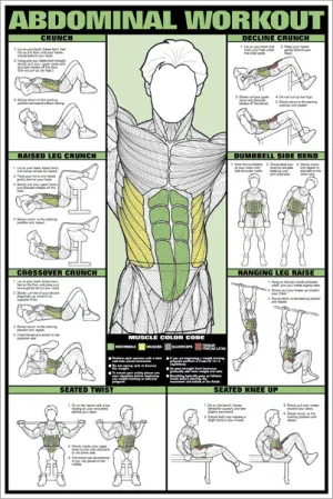 Abdominal Core Workout Professional Fitness Instructional Wall Chart Poster - Fitnus Corp.