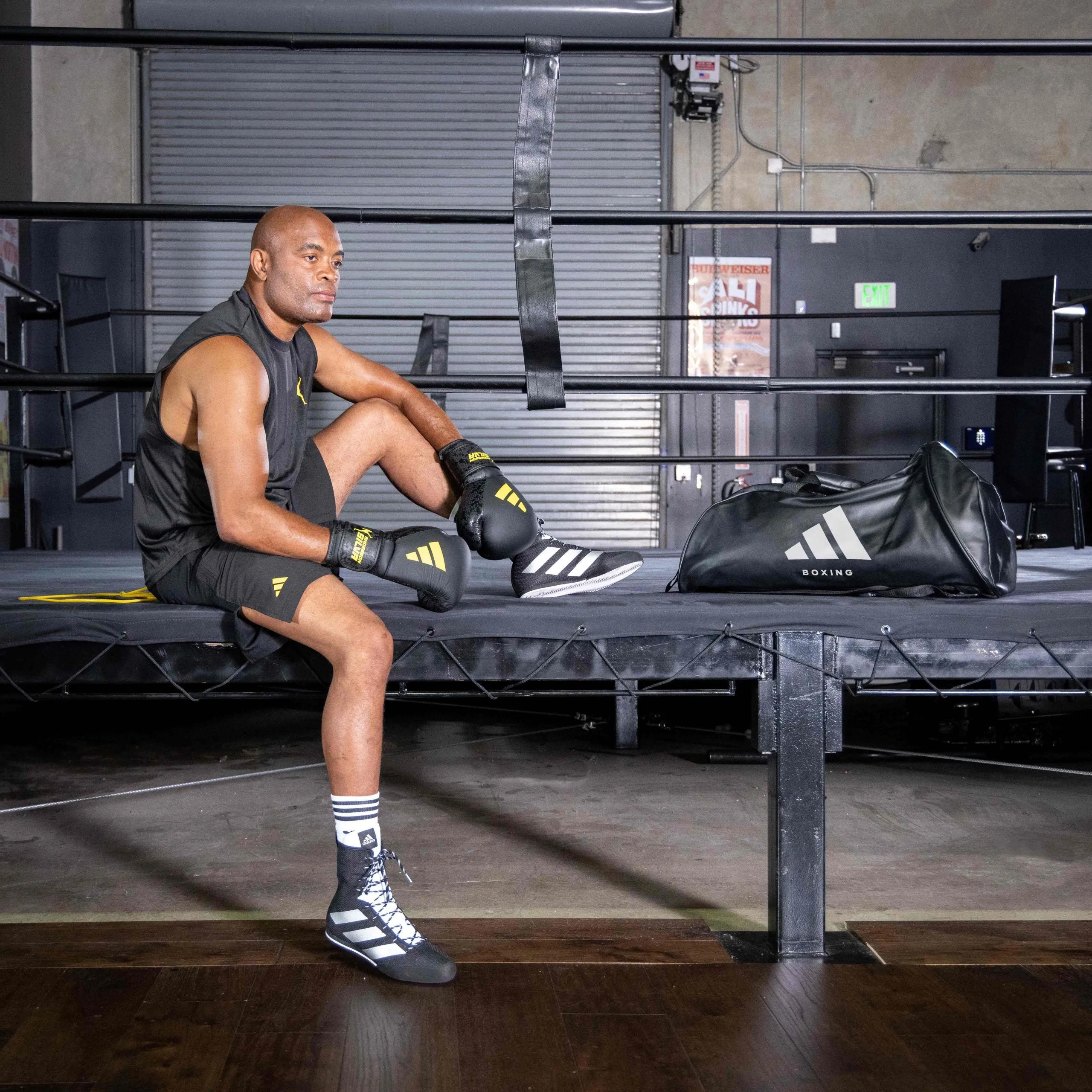 Adidas x Anderson Silva Everyday Use Boxing Gloves