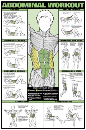 Chart Series II Abdominal Workout Poster