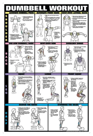 Chart Series II Dumbell Exercises - Shoulder, Back, Leg, Calf Poster