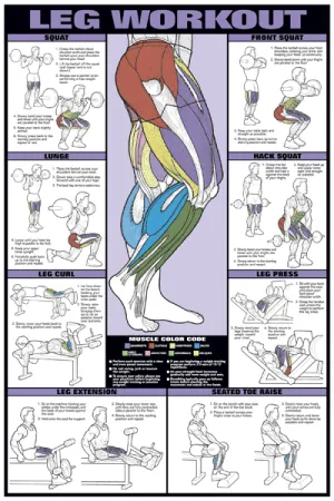 Chart Series II Leg Workout Poster