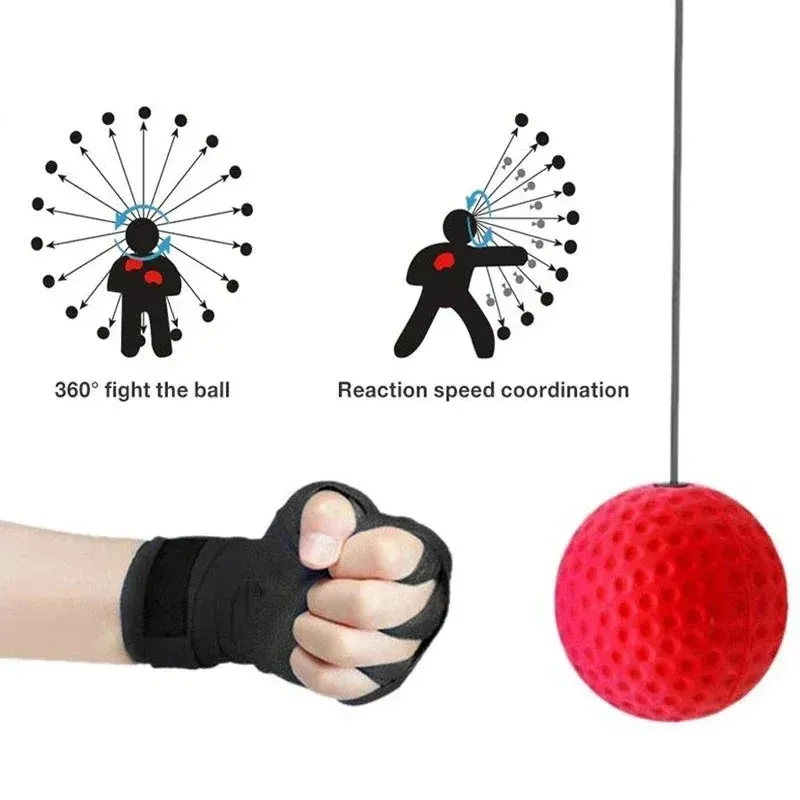 Fitness Head Punching Ball