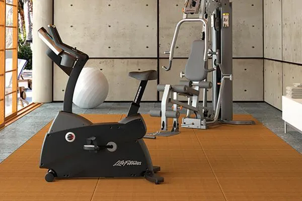 Life Fitness C3 Lifecycle Exercise Bike