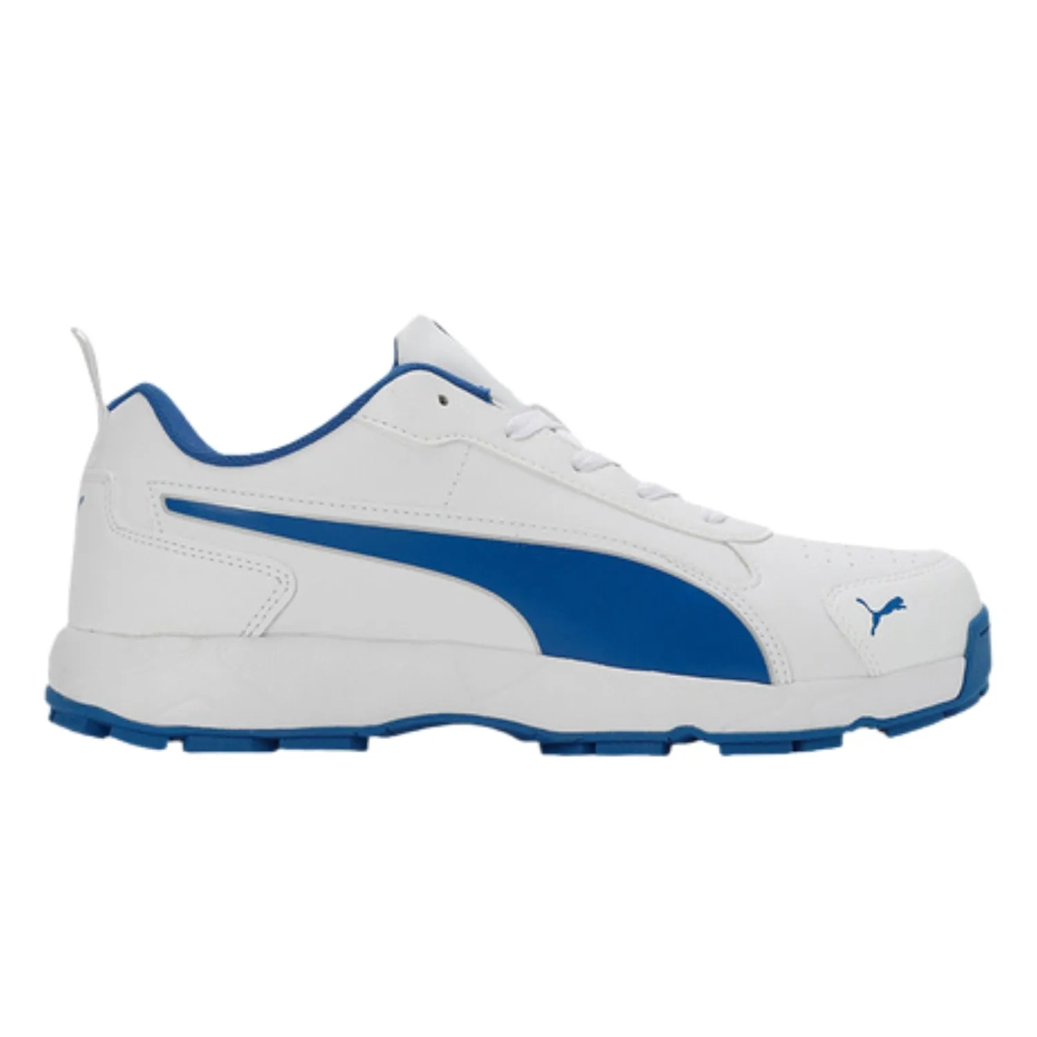 Puma Cricket Shoes, Classic Cat -  White/Blue