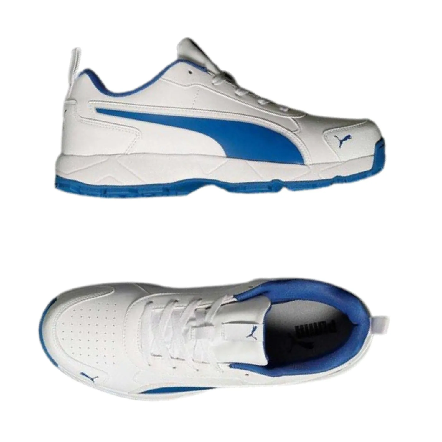 Puma Cricket Shoes, Classic Cat -  White/Blue