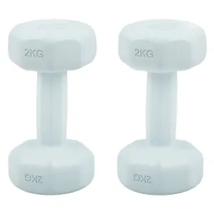 Set Of 2 Dumbbells Set 2KG Each