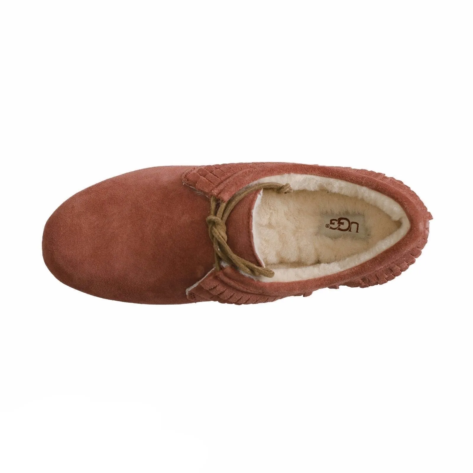 UGG Nikola Spice Shoes