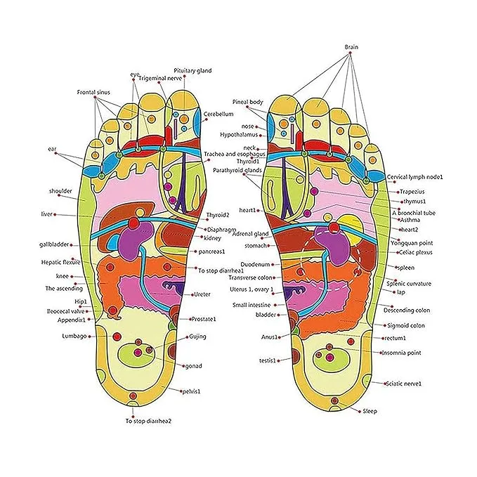 Yoga Paduka | Acupressure Therapy Slippers For Men and Women